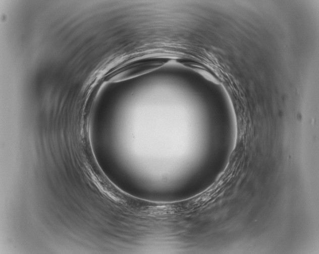 X0000086960050200704161529
