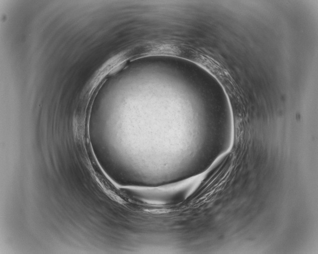 X0000086960051200704161529