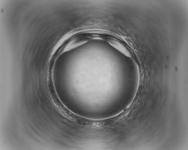 X0000086960056200704161529