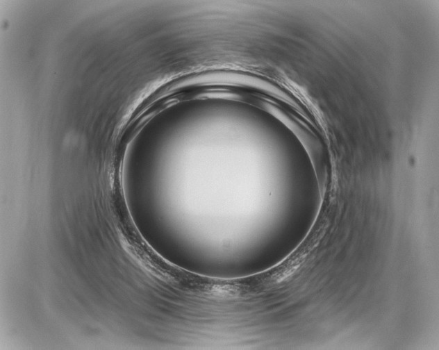 X0000086960060200704161529