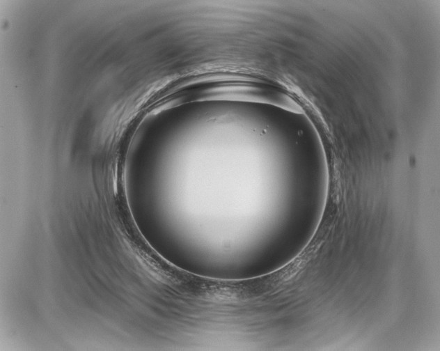 X0000086960062200704161529