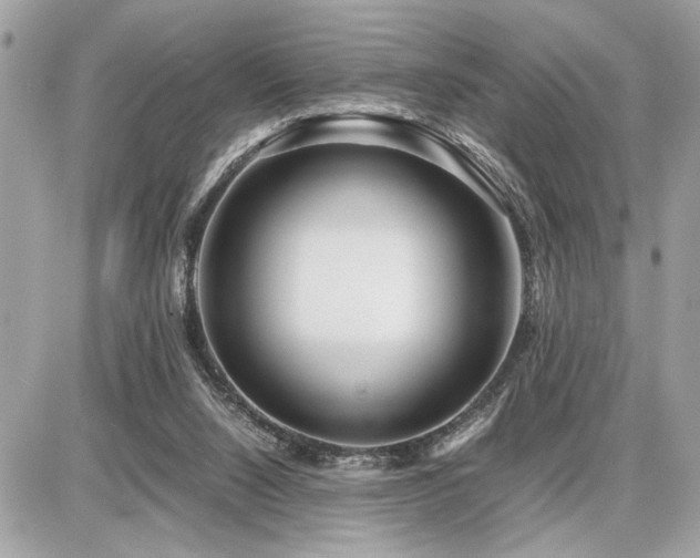 X0000086960064200704161529