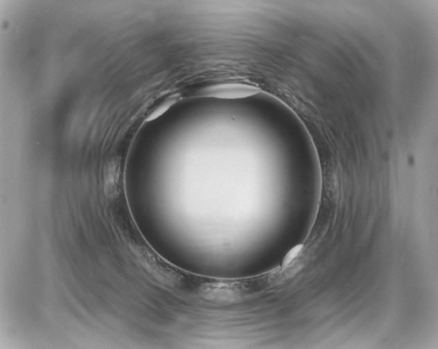 X0000086960082200704161529