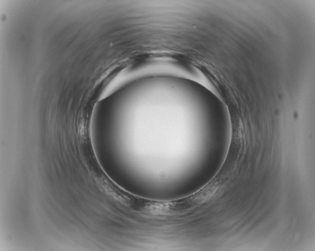 X0000086960084200704161529