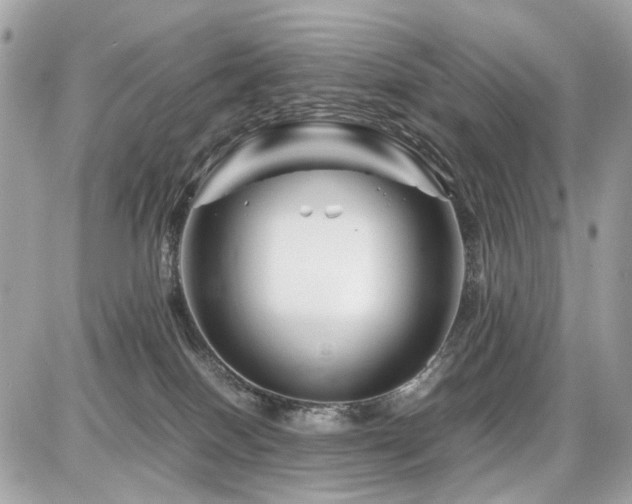 X0000086960086200704161529
