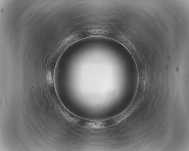 X0000086960089200704161529