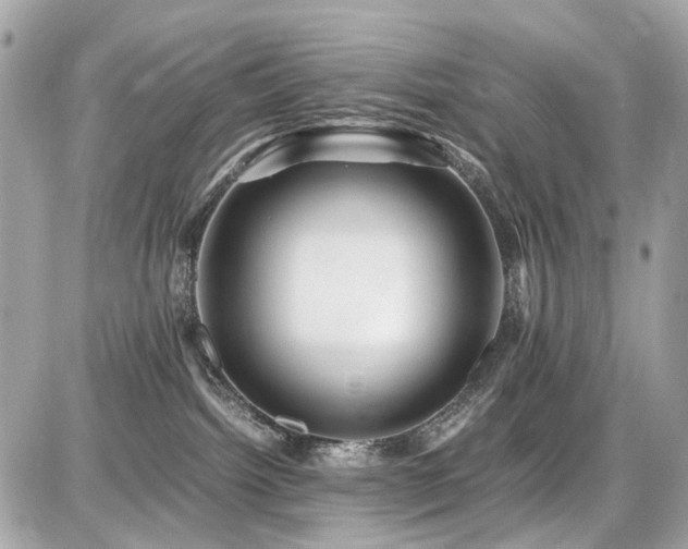 X0000086960092200704161529