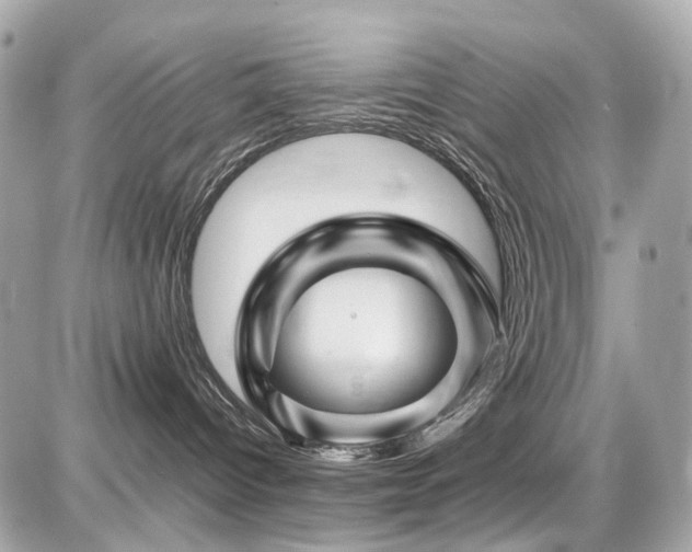 X0000086960096200704161529