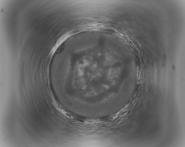 X0000086960099200704161528