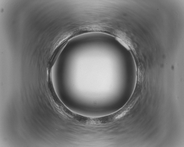 X0000086960109200704161528