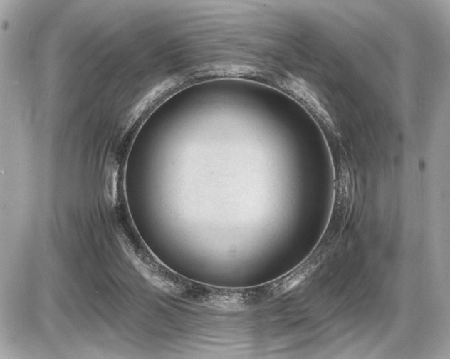 X0000086960110200704161528