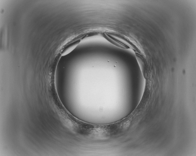 X0000086960111200704161528