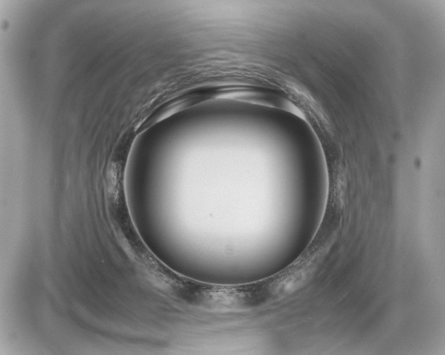 X0000086960121200704161528