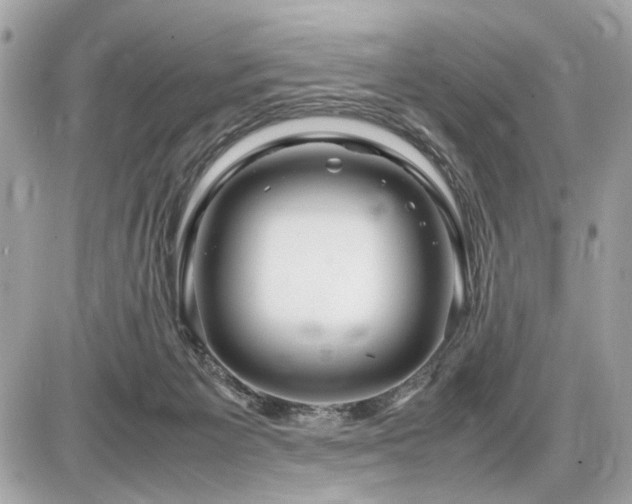 X0000086960125200704161528