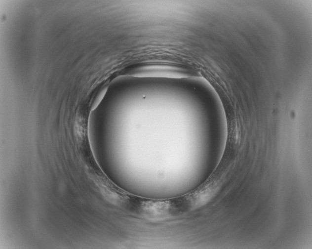 X0000086960135200704161528