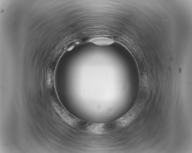X0000086960138200704161528