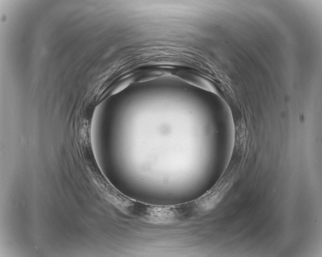 X0000086960141200704161528