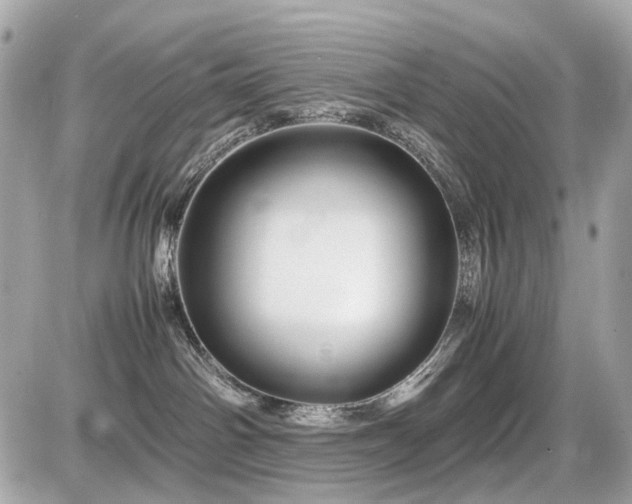 X0000086960142200704161528
