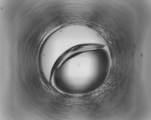 X0000086960146200704161527