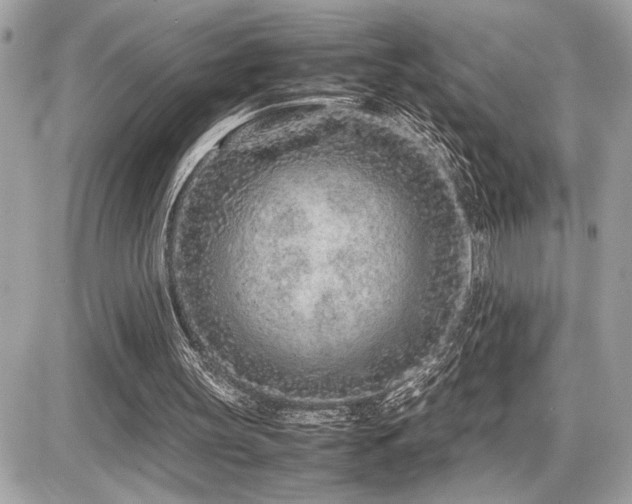 X0000086960147200704161527