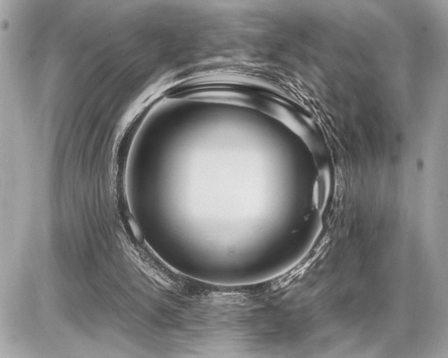 X0000086960150200704161527
