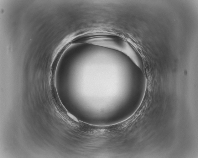 X0000086960152200704161527