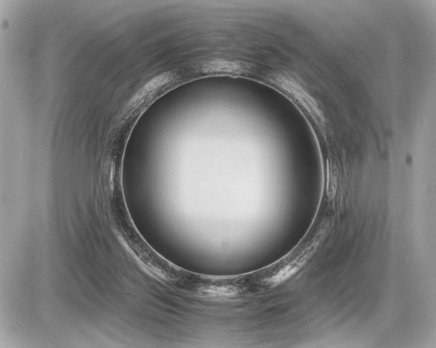 X0000086960157200704161527