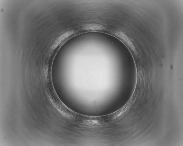 X0000086960159200704161527