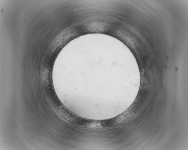 X0000086960162200704161527