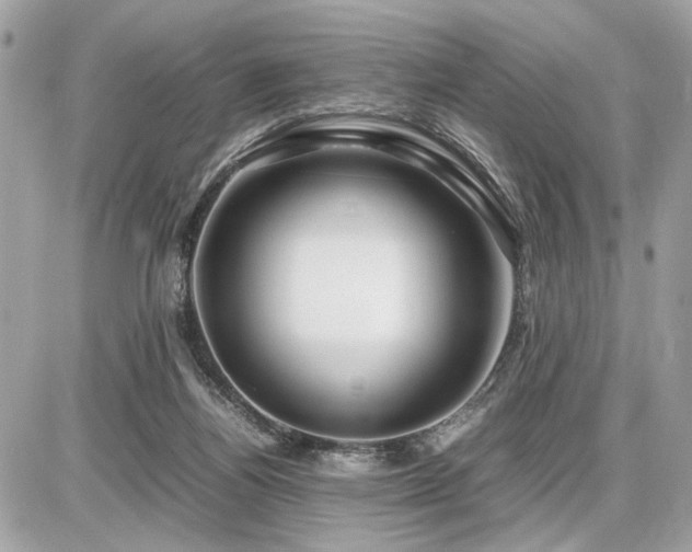 X0000086960164200704161527
