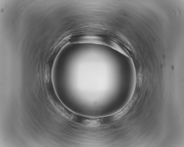 X0000086960170200704161527