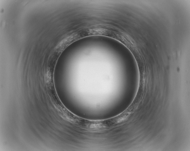 X0000086960173200704161527