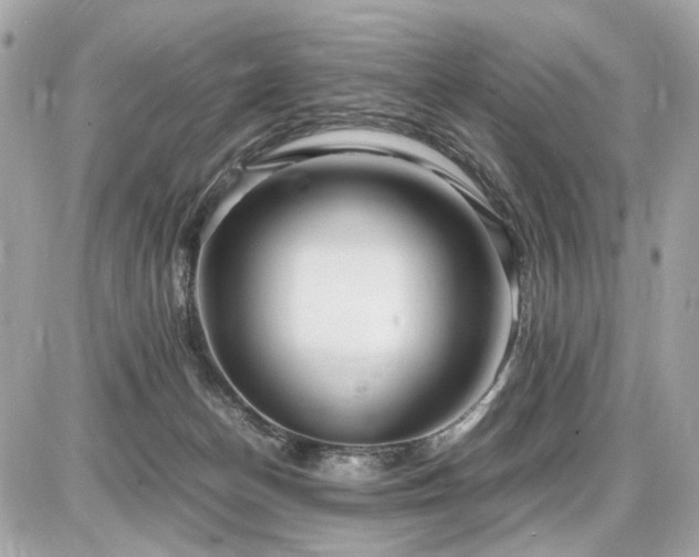 X0000086960174200704161527