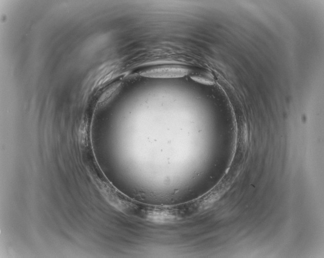 X0000086960177200704161527
