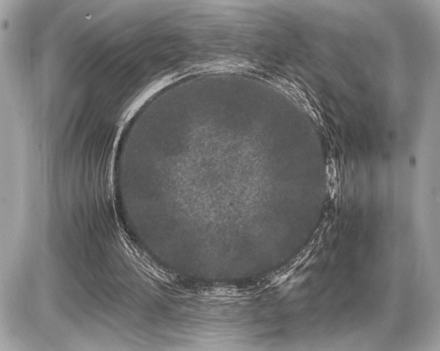 X0000086960196200704161527