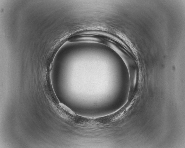 X0000086960201200704161527