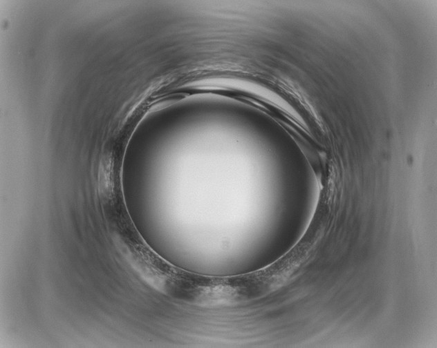 X0000086960212200704161527