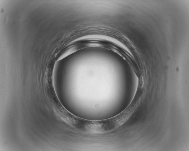 X0000086960217200704161527