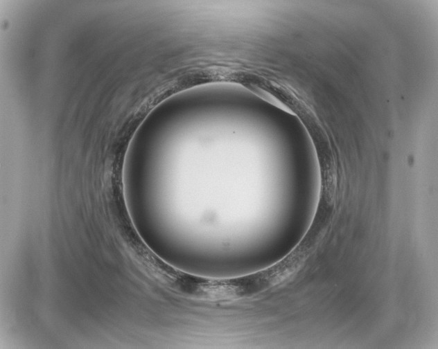 X0000086960221200704161526