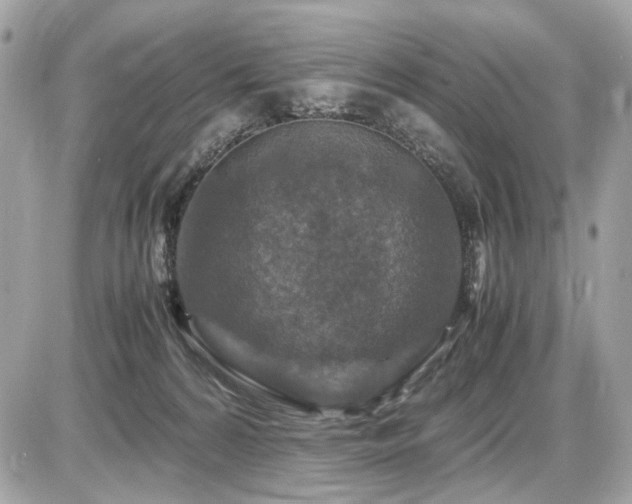 X0000086960224200704161526