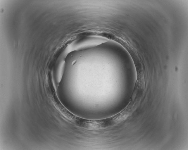 X0000086960229200704161526