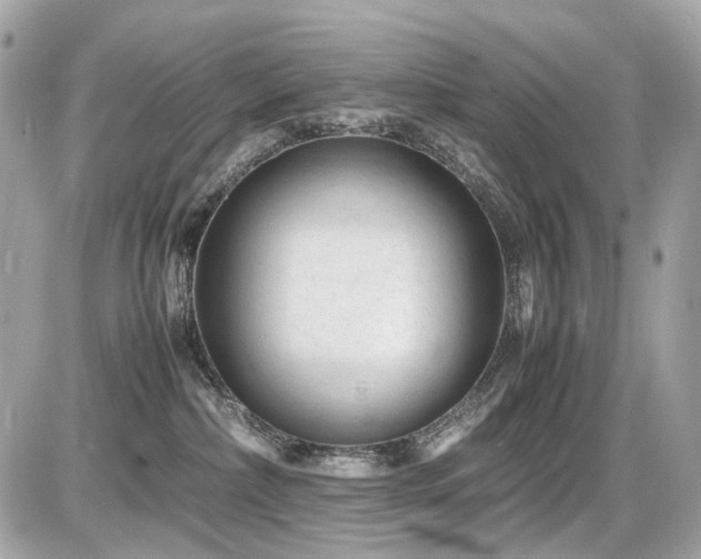 X0000086960236200704161526