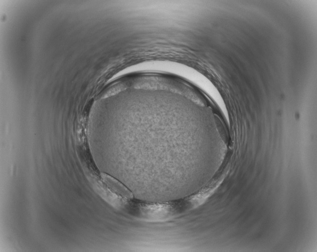 X0000086960237200704161526