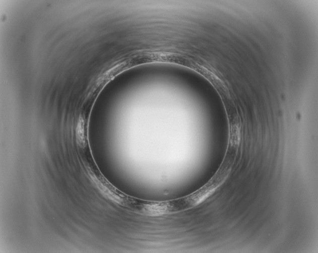 X0000086960238200704161526