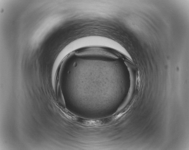 X0000086960239200704161526