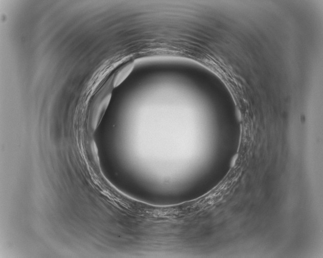 X0000086960241200704161525