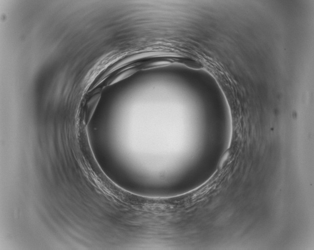 X0000086960242200704161525