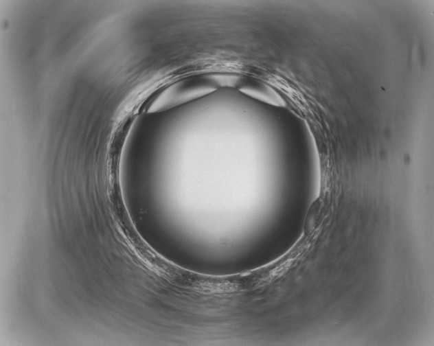 X0000086960245200704161525