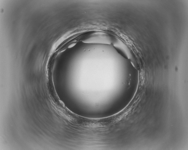 X0000086960246200704161525