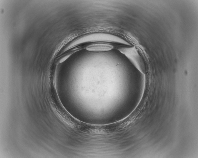 X0000086960250200704161526